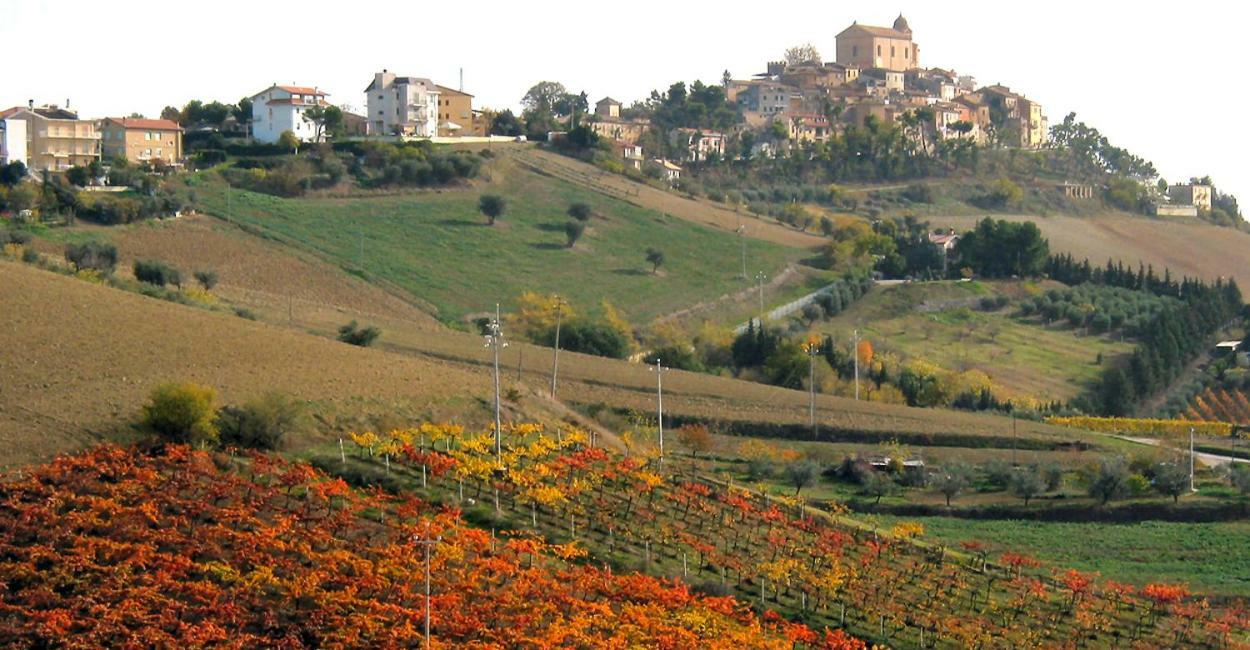 Gli Orti Di San Giacomo Monteprandone Ngoại thất bức ảnh